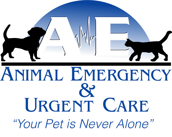 Animal Emergency and Urgent Care
